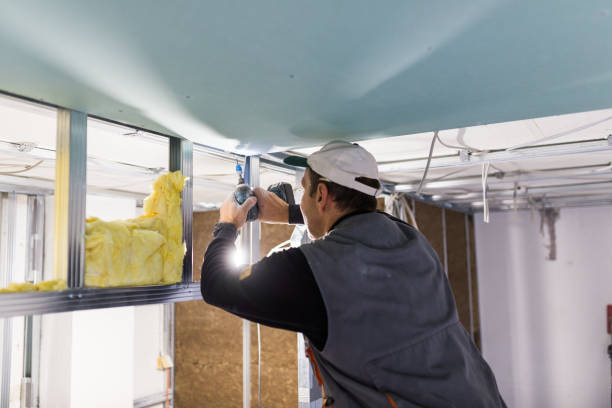 Best Insulation Maintenance and Repair in Wallenuck Lake Estates, PA