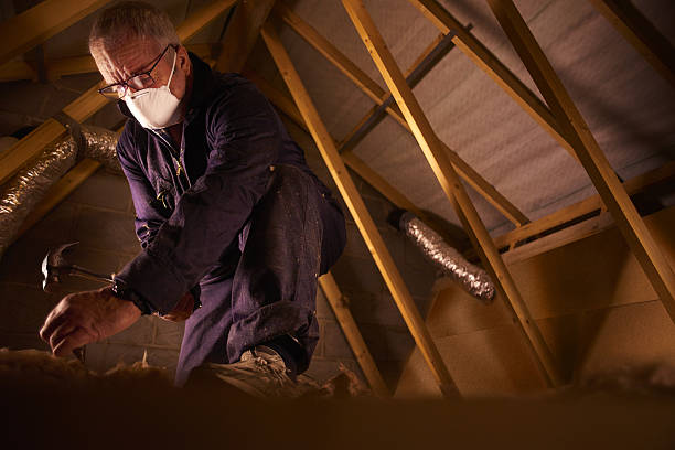 Best Types of Insulation in Wallenuck Lake Estates, PA